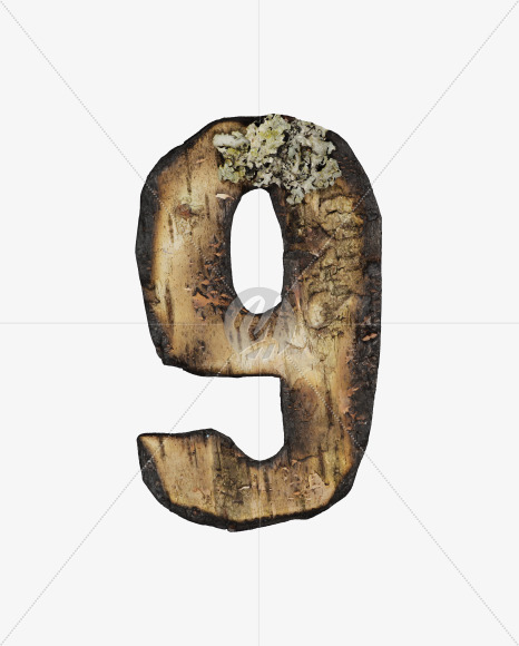 9 from Burned Bark font on Yellow Images Creative Fonts - S53992