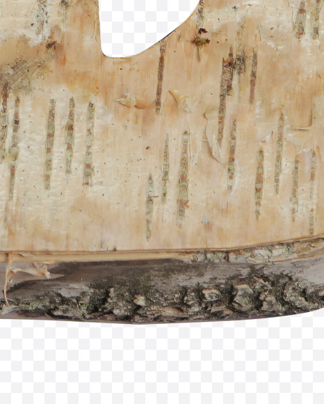 Letter D from Birch with Moss v2 font on Yellow Images Creative Fonts - S54009