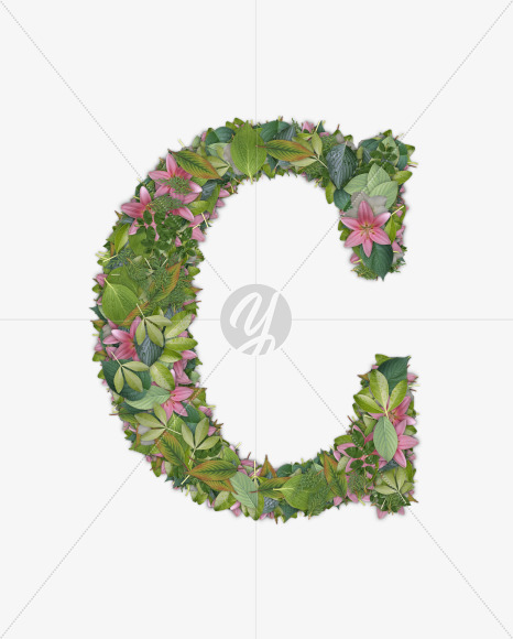 C