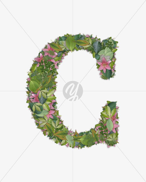 Letter C from FLORA on Yellow Images Creative Fonts - S54693