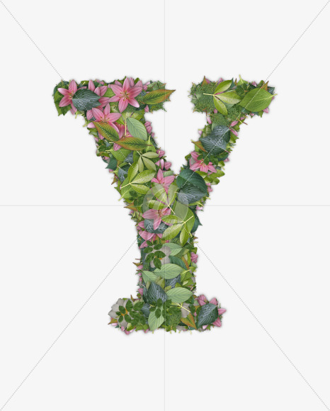 Letter Y from FLORA on Yellow Images Creative Fonts - S54715