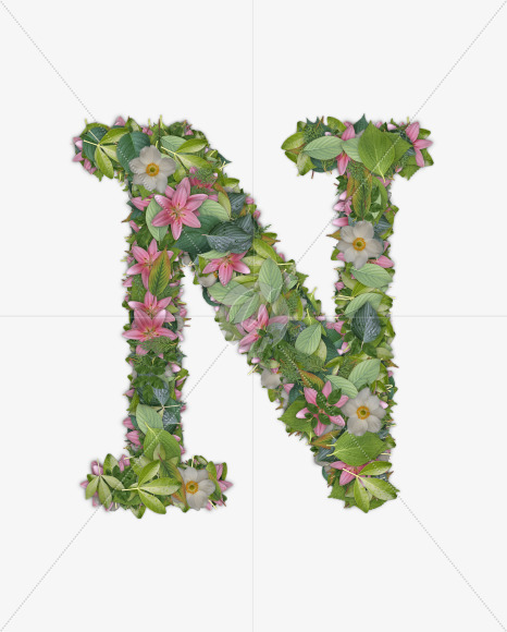 N