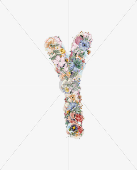 Y