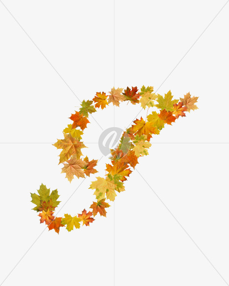 Letter T from Maple autumn leaves on Yellow Images Creative Fonts - S55680