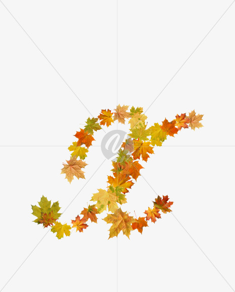 Letter X from Maple autumn leaves on Yellow Images Creative Fonts - S55684