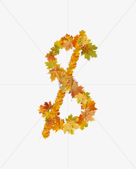 $ from Maple autumn leaves on Yellow Images Creative Fonts - S55696