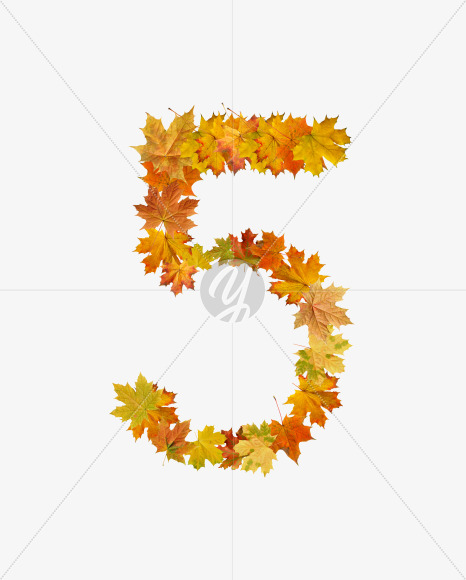 5 from Maple autumn leaves on Yellow Images Creative Fonts - S55692