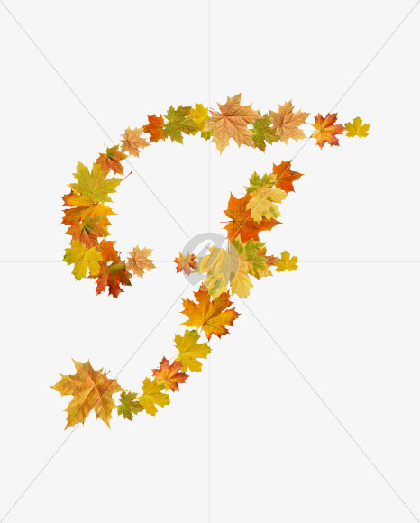 Letter F from Maple autumn leaves on Yellow Images Creative Fonts - S55666