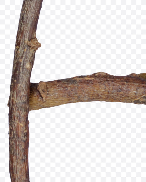6 from Single Twig Font on Yellow Images Creative Fonts - S57079