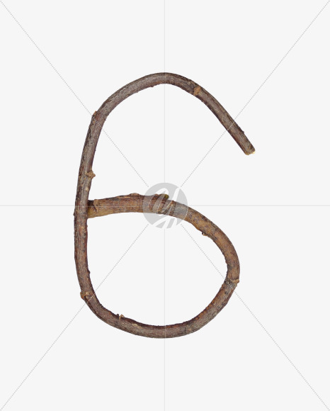 6