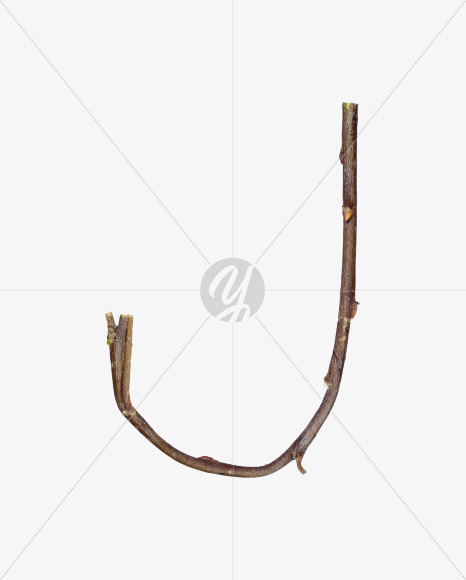 J