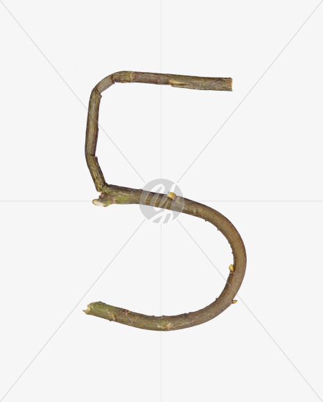 5 from Single Twig Font on Yellow Images Creative Fonts - S57078