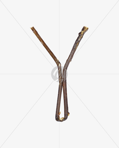 Y