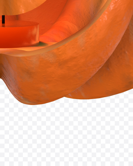 Letter D from Halloween Pumpkin Letters on Yellow Images Creative Fonts - S57193