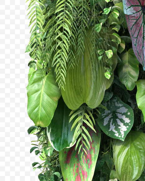 1 from Vertical Garden Font Set 4 on Yellow Images Creative Fonts - S57309