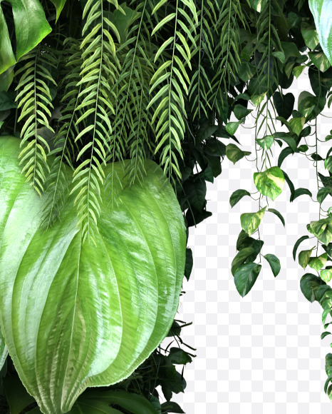 C uppercase from Vertical Garden Font Set 4 on Yellow Images Creative Fonts - S57322