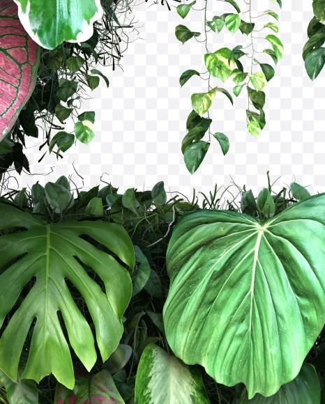 Z uppercase from Vertical Garden Font Set 4 on Yellow Images Creative Fonts - S57368