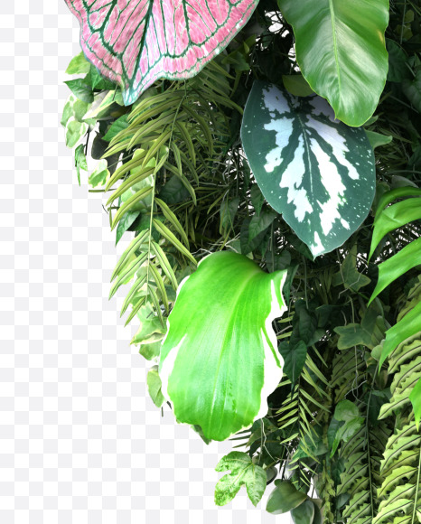 c lowercase from Vertical Garden Font Set 4 on Yellow Images Creative Fonts - S57323