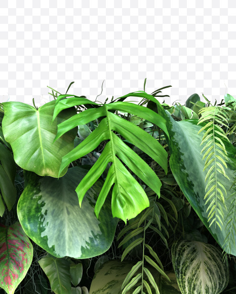 7 from Vertical Garden Font Set 4 on Yellow Images Creative Fonts - S57315