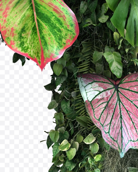 R uppercase from Vertical Garden Font Set 4 on Yellow Images Creative Fonts - S57352