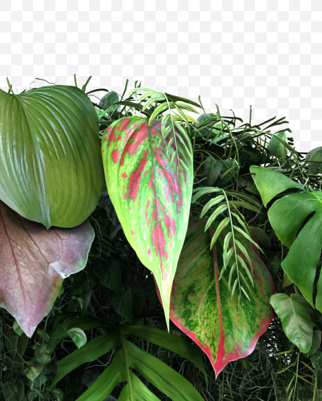 G uppercase from Vertical Garden Font Set 4 on Yellow Images Creative Fonts - S57330