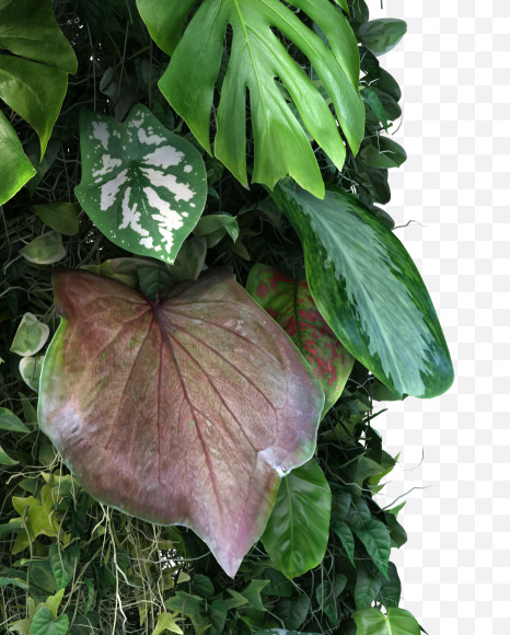 M uppercase from Vertical Garden Font Set 4 on Yellow Images Creative Fonts - S57342