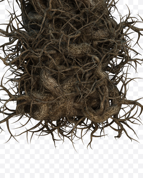 T uppescase from Tree branch alphabet on Yellow Images Creative Fonts - S57453