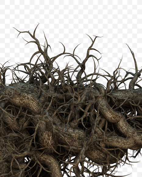 R uppescase from Tree branch alphabet on Yellow Images Creative Fonts - S57449