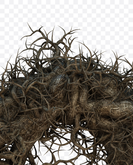 0 from Tree branch alphabet on Yellow Images Creative Fonts - S57467