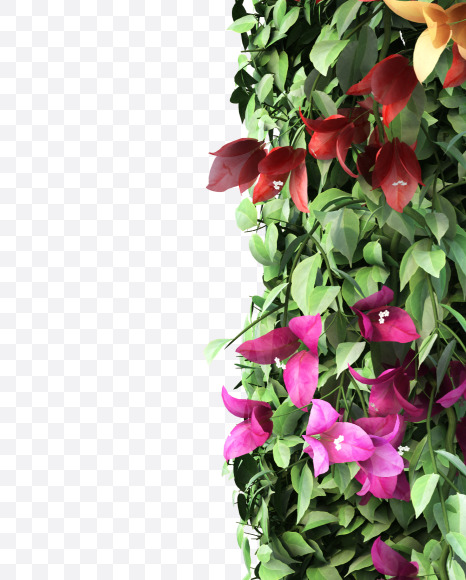 I uppercase from Bougainvillea Font Set 2 on Yellow Images Creative Fonts - S57668