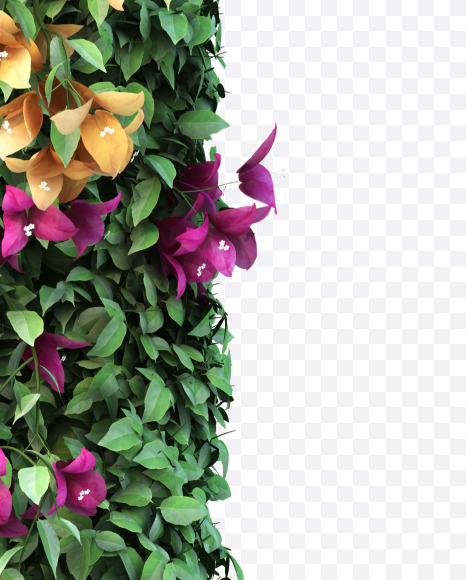 l lowercase from Bougainvillea Font Set 2 on Yellow Images Creative Fonts - S57675