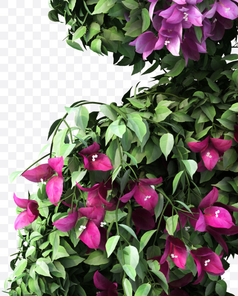 a lowercase from Bougainvillea Font Set 2 on Yellow Images Creative Fonts - S57653
