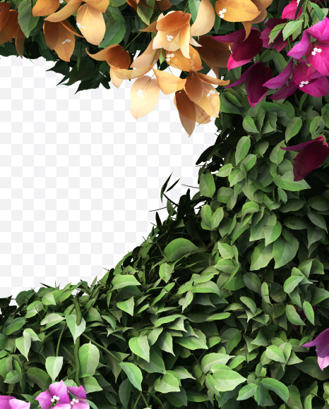 G uppercase from Bougainvillea Font Set 2 on Yellow Images Creative Fonts - S57664