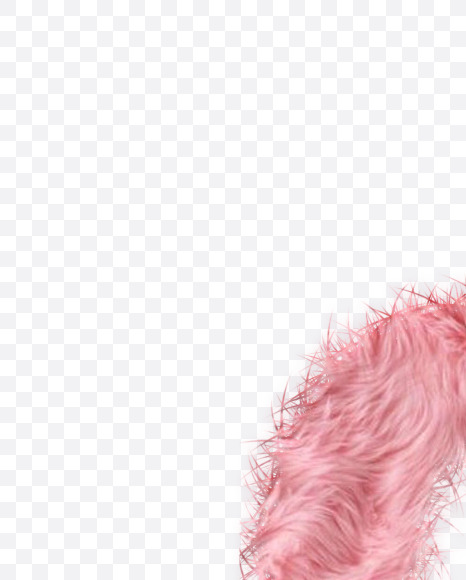 Zero-Number from Rabbit Fur on Yellow Images Creative Fonts - S57996