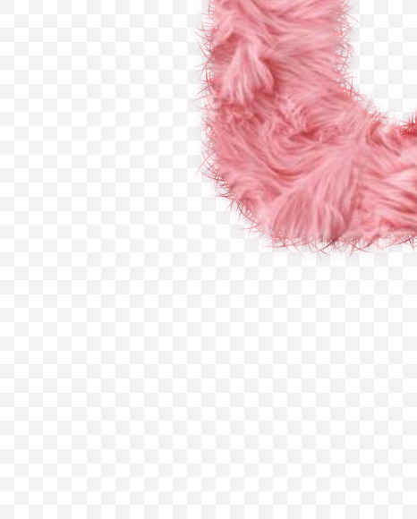 D-Character from Rabbit Fur on Yellow Images Creative Fonts - S57964