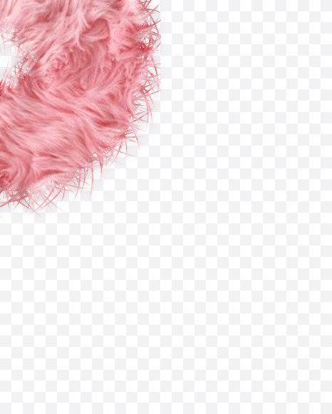 6-Number from Rabbit Fur on Yellow Images Creative Fonts - S57992