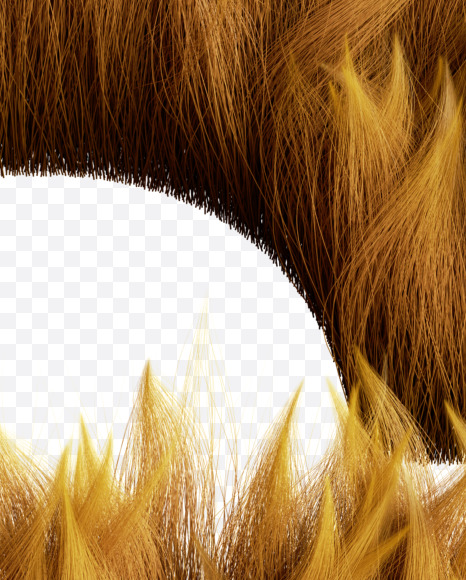 Letter G from Fur Font on Yellow Images Creative Fonts - S58175