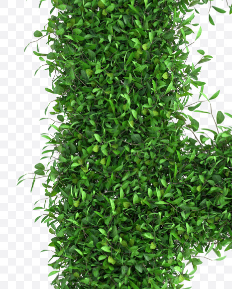 Tree P from Green tree alphabet Letter on Yellow Images Creative Fonts - S58295