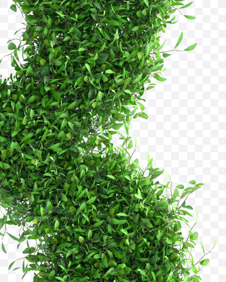 Tree 3 from Green tree alphabet Letter on Yellow Images Creative Fonts - S58273