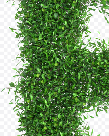 Tree E from Green tree alphabet Letter on Yellow Images Creative Fonts - S58284