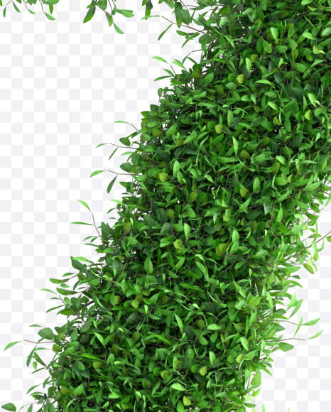 Tree 7 from Green tree alphabet Letter on Yellow Images Creative Fonts - S58277