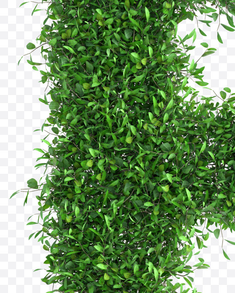 Tree F from Green tree alphabet Letter on Yellow Images Creative Fonts - S58285