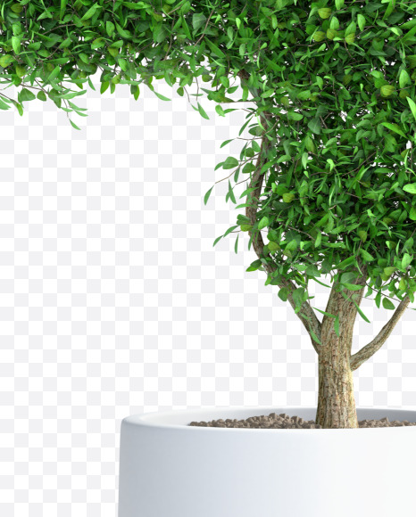 Tree 4 from Green tree alphabet Letter on Yellow Images Creative Fonts - S58274