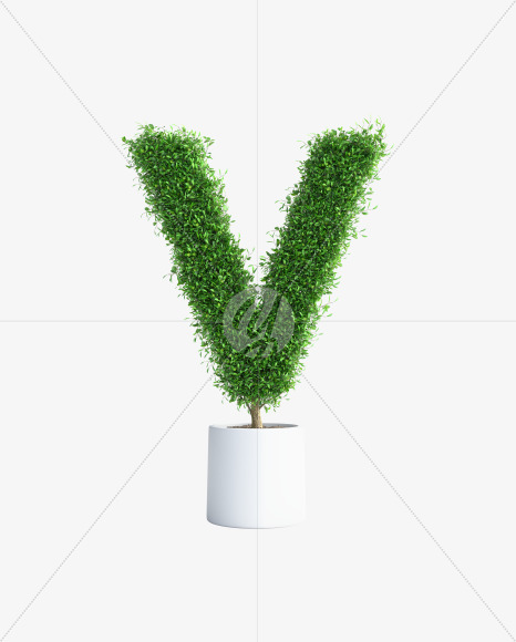Tree V