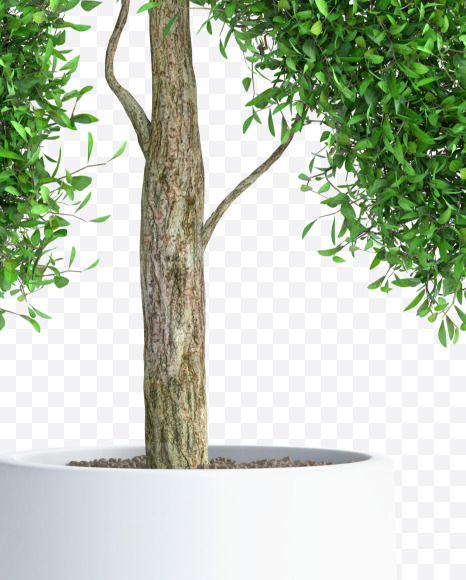 Tree R from Green tree alphabet Letter on Yellow Images Creative Fonts - S58297