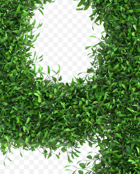 Tree 9 from Green tree alphabet Letter on Yellow Images Creative Fonts - S58279