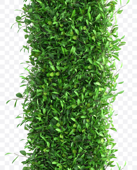 Tree L from Green tree alphabet Letter on Yellow Images Creative Fonts - S58291