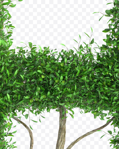 Tree H from Green tree alphabet Letter on Yellow Images Creative Fonts - S58287