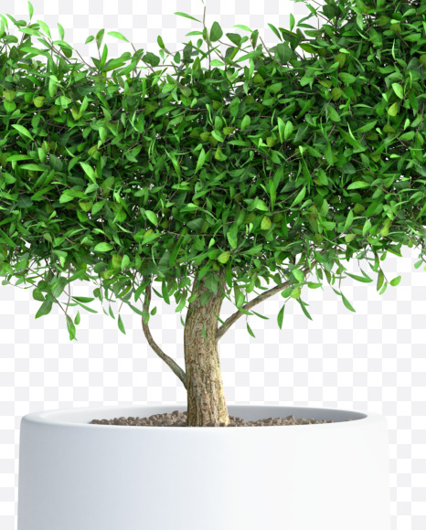 Tree S from Green tree alphabet Letter on Yellow Images Creative Fonts - S58298