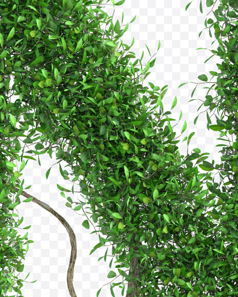 Tree N from Green tree alphabet Letter on Yellow Images Creative Fonts - S58293